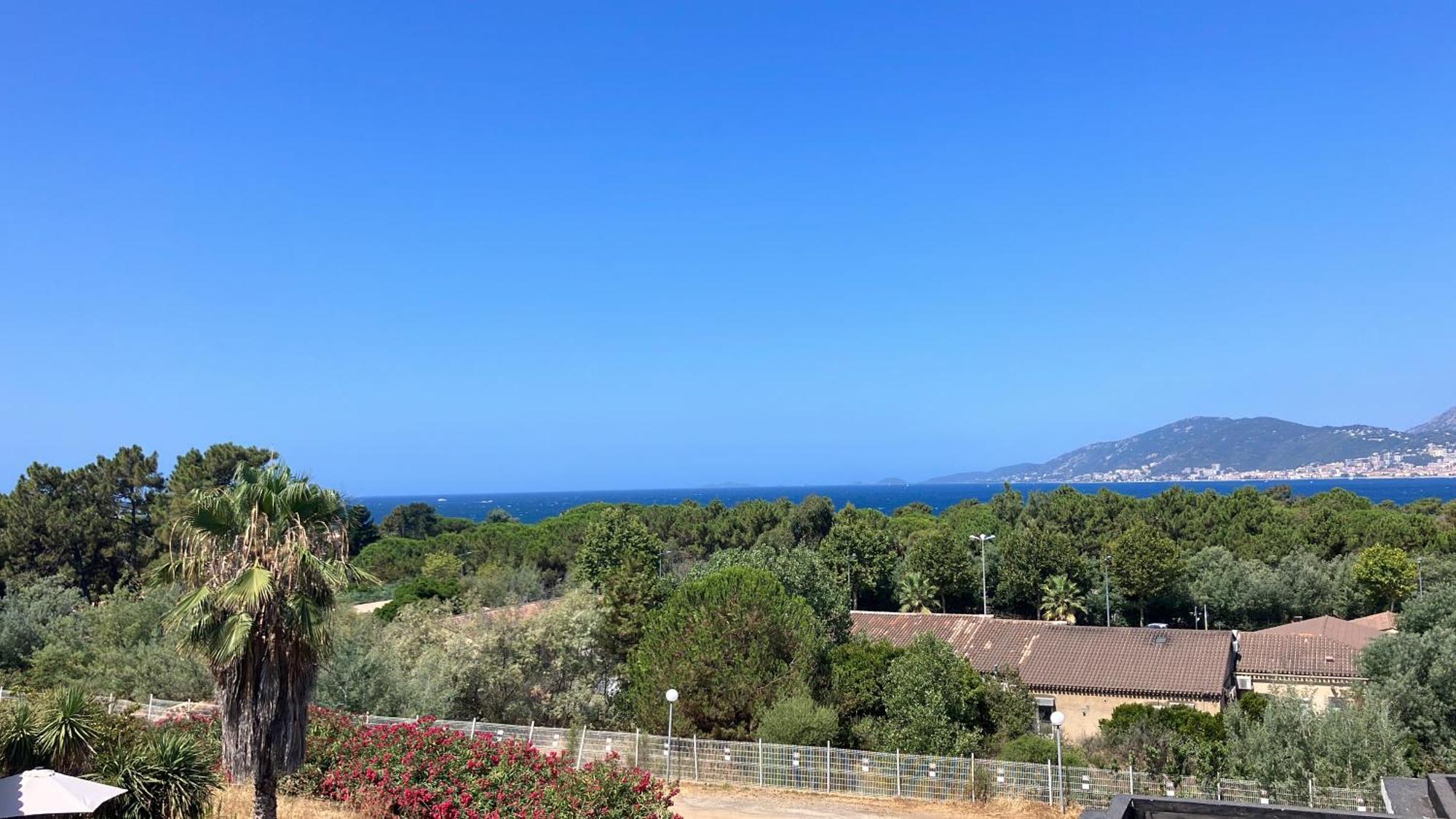 Porticcio Vacations - Terrasse, Piscine, Jacuzzi, Clim - By Tgb Appartement Buitenkant foto