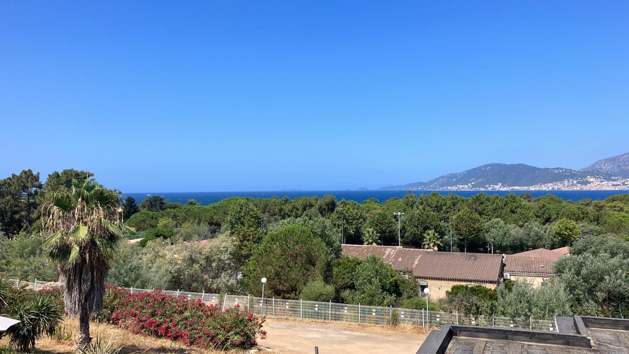 Porticcio Vacations - Terrasse, Piscine, Jacuzzi, Clim - By Tgb Appartement Buitenkant foto